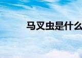 马叉虫是什么意思（马叉虫简介）