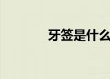 牙签是什么意思（牙签解释）