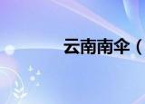 云南南伞（云南南伞的位置）