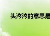 头涔涔的意思是什么（头涔涔的意思）