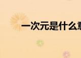 一次元是什么意思（一次元是什么）