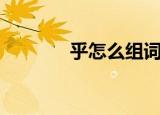 乎怎么组词（乎字怎么组词）