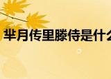 芈月传里滕侍是什么意思（滕侍应该怎么读）