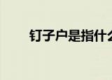 钉子户是指什么人（钉子户的意思）