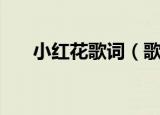小红花歌词（歌曲小红花的完整歌词）