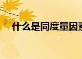 什么是同度量因素（同度量因素是什么）