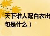 天下谁人配白衣出原句（天下谁人配白衣出原句是什么）