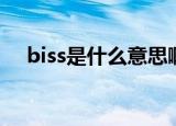 biss是什么意思啊（biss有多重含义吗）
