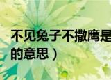 不见兔子不撒鹰是什么意思（不见兔子不撒鹰的意思）