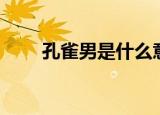 孔雀男是什么意思（孔雀男的意思）