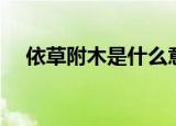 依草附木是什么意思（什么是依草附木）
