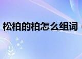 松柏的柏怎么组词（松柏的柏的组词有哪些）