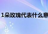 1朵玫瑰代表什么意思（1朵玫瑰代表的意思）