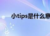 小tips是什么意思（小tips解释含义）