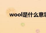 wool是什么意思（wool解释及例句）