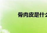 骨肉皮是什么（什么是骨肉皮）