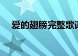爱的翅膀完整歌词（爱的翅膀歌曲介绍）