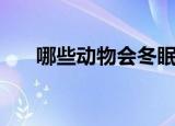 哪些动物会冬眠（什么动物需要冬眠）