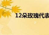 12朵玫瑰代表什么（有知道的吗）