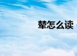辇怎么读（辇是什么意思）