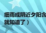 细雨成阴近夕阳含有什么节令（看完这个解析就知道了）
