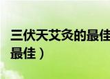 三伏天艾灸的最佳时间（三伏天艾灸什么时间最佳）