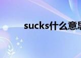 sucks什么意思（sucks如何解释）