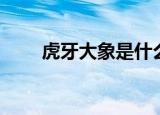 虎牙大象是什么梗（虎牙大象的梗）