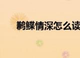 鹣鲽情深怎么读音（鹣鲽情深的读音）
