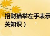 招财猫举左手表示招财还是招福（招财猫的相关知识）