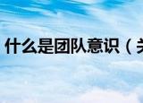 什么是团队意识（关于什么是团队意识介绍）