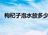 枸杞子泡水放多少（枸杞泡水有什么作用）