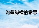 沟壑纵横的意思（沟壑纵横是什么意思）