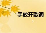 手放开歌词（手放开整首歌词）