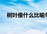 树叶像什么比喻句（关于树叶的比喻句）