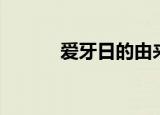 爱牙日的由来（爱牙日的来历）