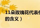11朵玫瑰花代表什么意思（11朵玫瑰花代表的含义）