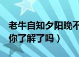 老牛自知夕阳晚不用扬鞭自奋蹄是什么意思（你了解了吗）