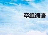 卒组词语（卒怎么组词语）