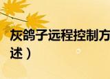 灰鸽子远程控制方法（灰鸽子远程控制方法简述）