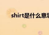 shirt是什么意思中文（shirt的意思）