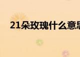 21朵玫瑰什么意思（21朵玫瑰代表什么）