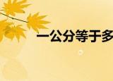 一公分等于多少厘米（公分解释）