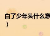 白了少年头什么意思（白了少年头原文和译文）