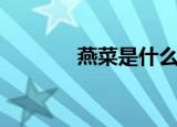 燕菜是什么（又称牡丹燕菜）