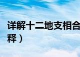 详解十二地支相合的含义（十二地支相合的解释）