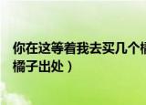 你在这等着我去买几个橘子什么梗（你在这等着我去买几个橘子出处）