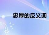 忠厚的反义词（忠厚反义词是什么）
