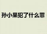 孙小果犯了什么罪（孙小果具体犯了什么罪）