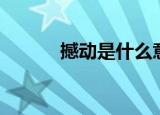 撼动是什么意思（撼动的意思）